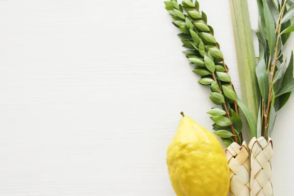 Lulav and Esrog